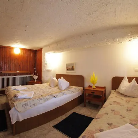 Casa Cristina Vendégház Szászbuda